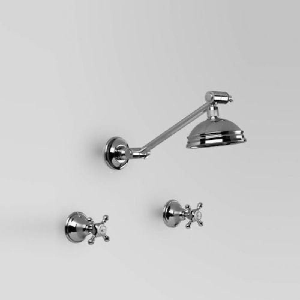 Astra Walker Edwardian Shower Set with 100mm Rose