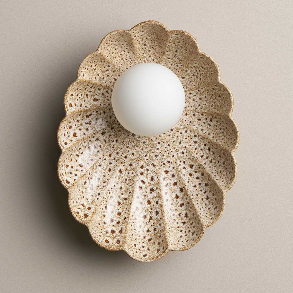 Robert Gordon Oyster Wall Sconce Light | White Ochre