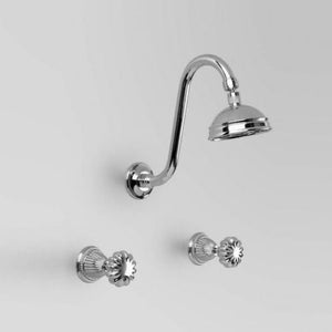 Astra Walker Swan Shower Set