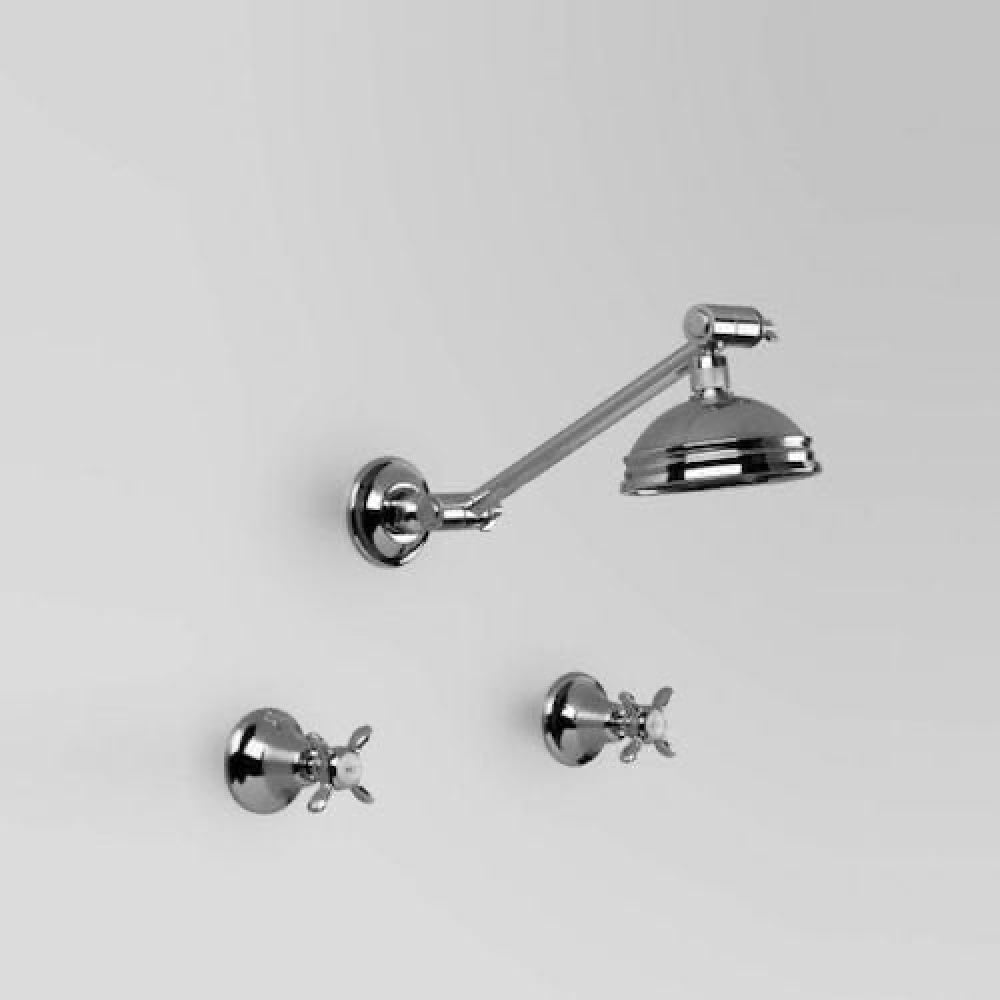 Astra Walker Olde English Shower Set with 100mm Rose