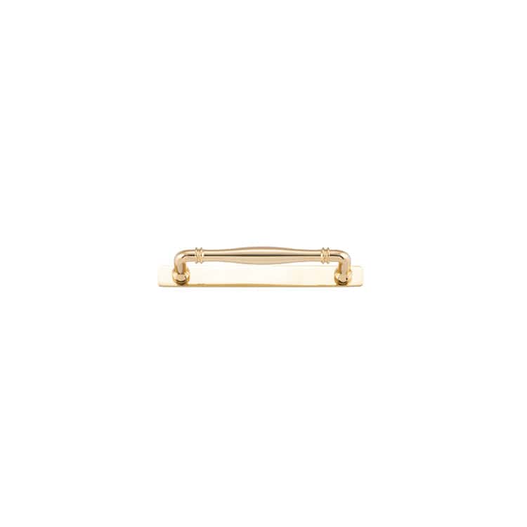 Iver Handles Iver Sarlat Cabinet Pull with Backplate | Polished Brass | 160mm